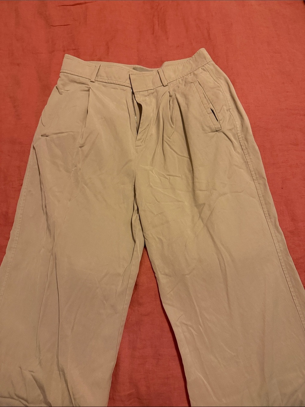 Everlane Pleated Chino Pants in Khaki